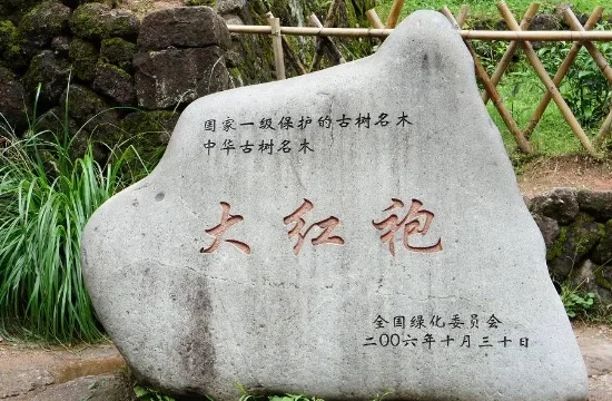 武夷山旅游必去十大景点