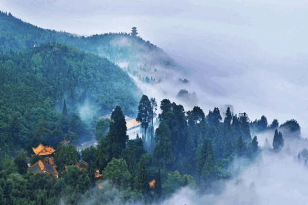 曲靖有哪些旅游景点分享？