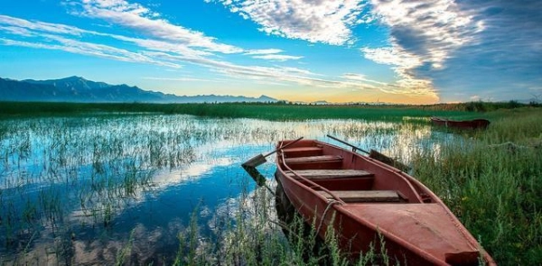 被誉为杭州“三西”之一的西溪湿地景区，有什么美景？