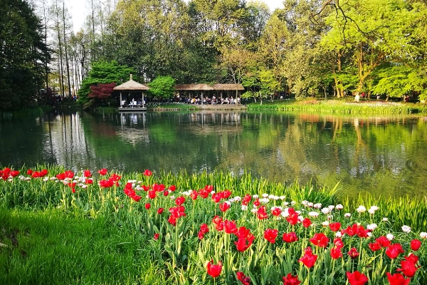 西湖必去的十大景点