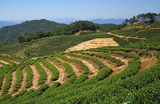 武夷山旅游必去十大景点