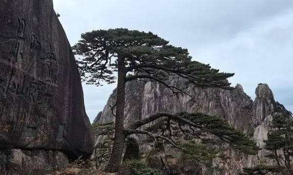 黄山门票2024免费政策最新