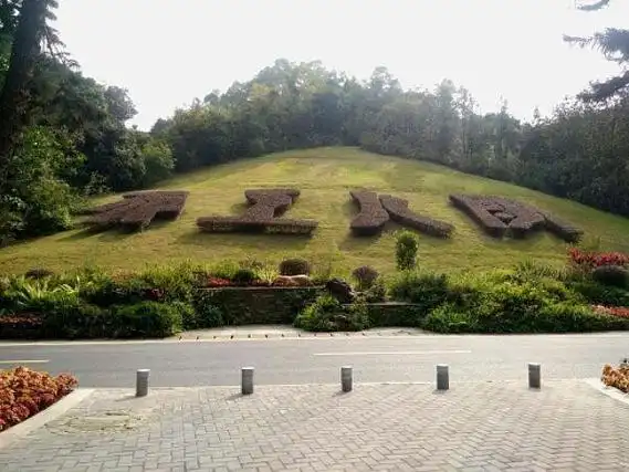 仙湖植物园适合带孩子去吗(仙湖植物园有哪些特色景点)